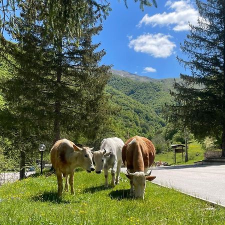 Hotel Campo Stella Леонесса Екстер'єр фото